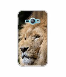 Amazon Brand - Solimo Designer Lion UV Printed Soft Back Case Mobile Cover for Samsung Galaxy J1 Ace