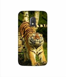 Amazon Brand - Solimo Designer Tiger 3D Printed Hard Back Case Mobile Cover for Motorola Moto G4 Play