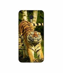 Amazon Brand - Solimo Designer Tiger 3D Printed Hard Back Case Mobile Cover for Meizu M3 Note