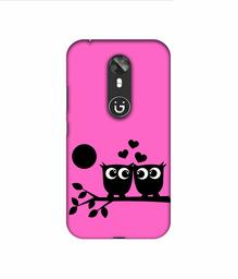 Amazon Brand - Solimo Designer Love Birds Vector 3D Printed Hard Back Case Mobile Cover for Gionee A1