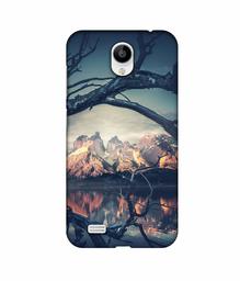 Amazon Brand - Solimo Designer Tree Reflextion 3D Printed Hard Back Case Mobile Cover for Vivo Y21L