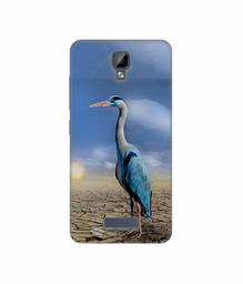 Amazon Brand - Solimo Designer Bagula 3D Printed Hard Back Case Mobile Cover for Gionee P7 Max