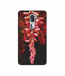 Amazon Brand - Solimo Designer Flowers Photograpy 3D Printed Hard Back Case Mobile Cover for Coolpad Cool1 Dual