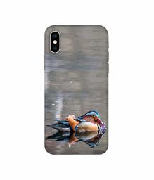 Amazon Brand - Solimo Designer Duck 3D Printed Hard Back Case Mobile Cover for Apple iPhone Xs Max