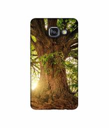 Amazon Brand - Solimo Designer Tree Trunk 3D Printed Hard Back Case Mobile Cover for Samsung Galaxy A3 (2016)