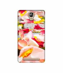 Amazon Brand - Solimo Designer Rose Petals 3D Printed Hard Back Case Mobile Cover for Gionee Marathon M5 Plus