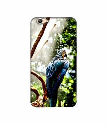 Amazon Brand - Solimo Designer Macaw Parrot 3D Printed Hard Back Case Mobile Cover for Oppo F1s