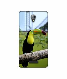 Amazon Brand - Solimo Designer Woodcutter 3D Printed Hard Back Case Mobile Cover for Micromax Canvas Pace 4G Q416