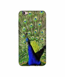 Amazon Brand - Solimo Designer Peacock 3D Printed Hard Back Case Mobile Cover for Vivo V5 Plus