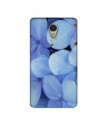 Amazon Brand - Solimo Designer Light Blue Flower Photography 3D Printed Hard Back Case Mobile Cover for Lenovo P2