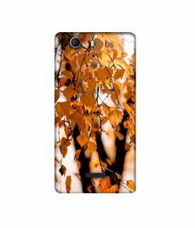 Amazon Brand - Solimo Designer Autumn Photography 3D Printed Hard Back Case Mobile Cover for Micromax Canvas Nitro 2 E311