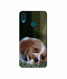 Amazon Brand - Solimo Designer Cute Puppy 3D Printed Hard Back Case Mobile Cover for Huawei Y9 (2019)