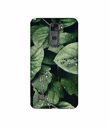 Amazon Brand - Solimo Designer Leafs 3D Printed Hard Back Case Mobile Cover for LG Stylus 2