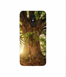 Amazon Brand - Solimo Designer Tree Trunk 3D Printed Hard Back Case Mobile Cover for LG Q7