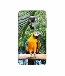 Amazon Brand - Solimo Designer Macaw Bird 3D Printed Hard Back Case Mobile Cover for LeEco Le Max 2