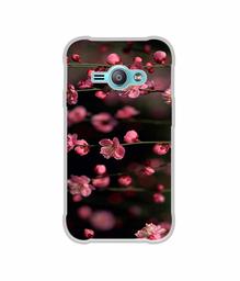 Amazon Brand - Solimo Designer Pink Flowers UV Printed Soft Back Case Mobile Cover for Samsung Galaxy J1 Ace