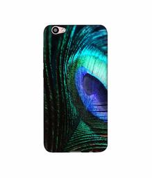 Amazon Brand - Solimo Designer Peacock Feather 3D Printed Hard Back Case Mobile Cover for Vivo V5 Plus