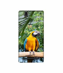 Amazon Brand - Solimo Designer Macaw Bird 3D Printed Hard Back Case Mobile Cover for Sony Xperia T2 Ultra