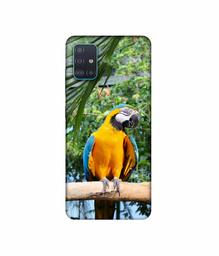 Amazon Brand - Solimo Designer Macaw Bird 3D Printed Hard Back Case Mobile Cover for Samsung Galaxy A51