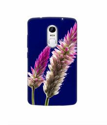 Amazon Brand - Solimo Designer Wheat Flower 3D Printed Hard Back Case Mobile Cover for Lenovo Vibe X3