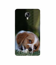 Amazon Brand - Solimo Designer Cute Puppy 3D Printed Hard Back Case Mobile Cover for OnePlus 3 / OnePlus 3T