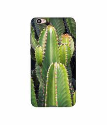 Amazon Brand - Solimo Designer Desert Plant 3D Printed Hard Back Case Mobile Cover for Vivo V5 Plus