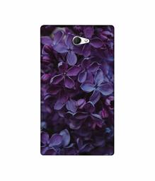 Amazon Brand - Solimo Designer Purple Flowers 3D Printed Hard Back Case Mobile Cover for Sony Xperia M2