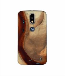 Amazon Brand - Solimo Designer Sea Seen 3D Printed Hard Back Case Mobile Cover for Motorola Moto G4 Plus (with Logo Cut)