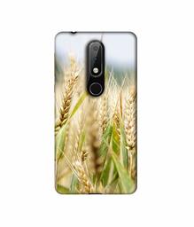 Amazon Brand - Solimo Designer Wheat Plant 3D Printed Hard Back Case Mobile Cover for Nokia 6.1 Plus