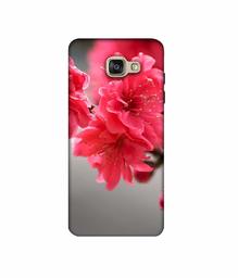 Amazon Brand - Solimo Designer Blossom Like Flower 3D Printed Hard Back Case Mobile Cover for Samsung Galaxy A5 (2016)