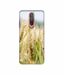 Amazon Brand - Solimo Designer Wheat Plant 3D Printed Hard Back Case Mobile Cover for Poco X2 / Mi Redmi K30