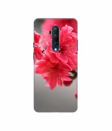 Amazon Brand - Solimo Designer Blossom Like Flower 3D Printed Hard Back Case Mobile Cover for OnePlus 7T Pro