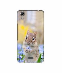 Amazon Brand - Solimo Designer Squirrel 3D Printed Hard Back Case Mobile Cover for Micromax Canvas Selfie Lens Q345