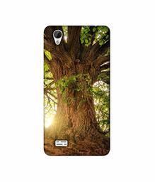 Amazon Brand - Solimo Designer Tree Trunk 3D Printed Hard Back Case Mobile Cover for Vivo Y31