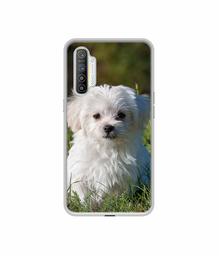 Amazon Brand - Solimo Designer White Dog UV Printed Soft Back Case Mobile Cover for Realme XT