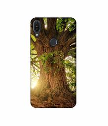 Amazon Brand - Solimo Designer Tree Trunk 3D Printed Hard Back Case Mobile Cover for Asus Zenfone Max Pro M1 ZB601KL