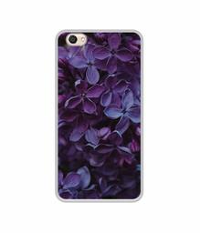 Amazon Brand - Solimo Designer Purple Flowers UV Printed Soft Back Case Mobile Cover for Vivo V5