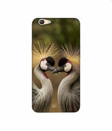 Amazon Brand - Solimo Designer Birds 3D Printed Hard Back Case Mobile Cover for Oppo F1s