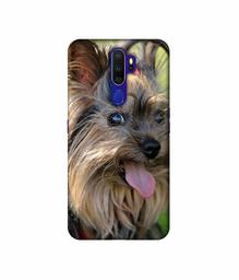 Amazon Brand - Solimo Designer Hairy Puppy 3D Printed Hard Back Case Mobile Cover for Oppo A9 (2020)