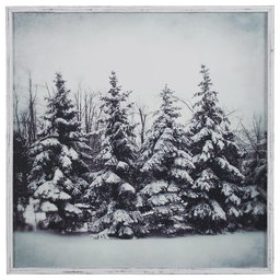 Amazon Brand – Stone & Beam Modern Black and White Print of Forest Snow, White Frame, 30