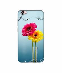 Amazon Brand - Solimo Designer Sun Flower 3D Printed Hard Back Case Mobile Cover for Vivo V5 Plus