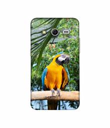 Amazon Brand - Solimo Designer Macaw Bird 3D Printed Hard Back Case Mobile Cover for Samsung Galaxy Core 2 G355H