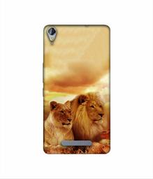 Amazon Brand - Solimo Designer Lion with Lioness 3D Printed Hard Back Case Mobile Cover for Micromax Canvas Juice 3Plus Q394