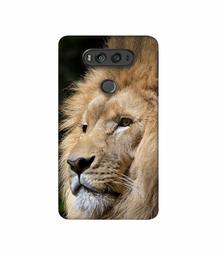 Amazon Brand - Solimo Designer Lion 3D Printed Hard Back Case Mobile Cover for LG V20