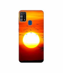 Amazon Brand - Solimo Designer Sunset View 3D Printed Hard Back Case Mobile Cover for Samsung Galaxy M31