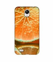 Amazon Brand - Solimo Designer Orange Slice 3D Printed Hard Back Case Mobile Cover for Vivo Y21L