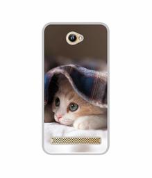 Amazon Brand - Solimo Designer Sleepy Kitten UV Printed Soft Back Case Mobile Cover for 10.or D2