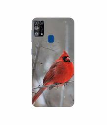 Amazon Brand - Solimo Designer Red Engry Bird 3D Printed Hard Back Case Mobile Cover for Samsung Galaxy M31