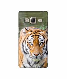 Amazon Brand - Solimo Designer Tiger in Water 3D Printed Hard Back Case Mobile Cover for Samsung Z3