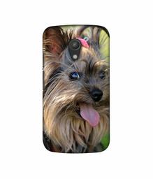 Amazon Brand - Solimo Designer Hairy Puppy 3D Printed Hard Back Case Mobile Cover for Motorola Moto G 2nd Generation